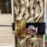 长白山野生松茸干片