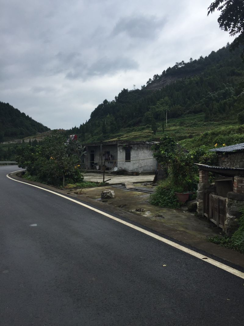 宅基地