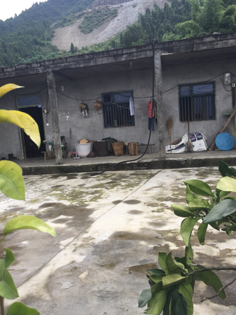 宅基地