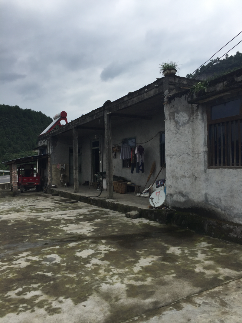 宅基地