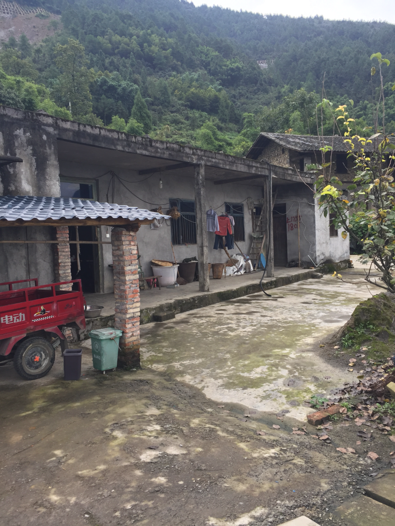 宅基地