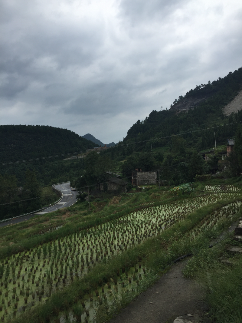 宅基地-农房出租