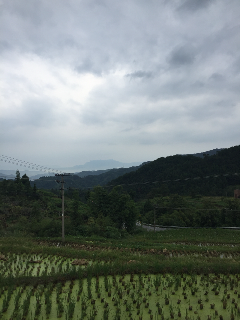 宅基地-农房出租