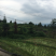 宅基地-农房出租