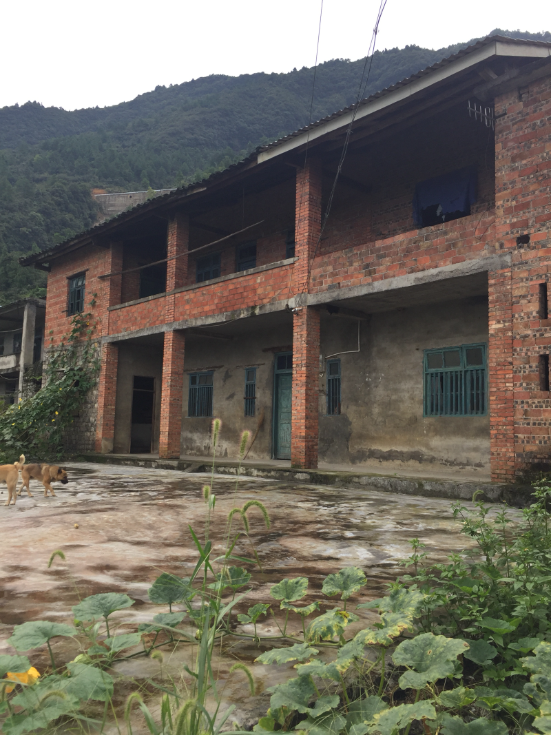 宅基地-农房出租