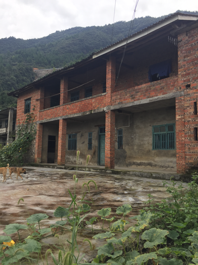 宅基地-农房出租