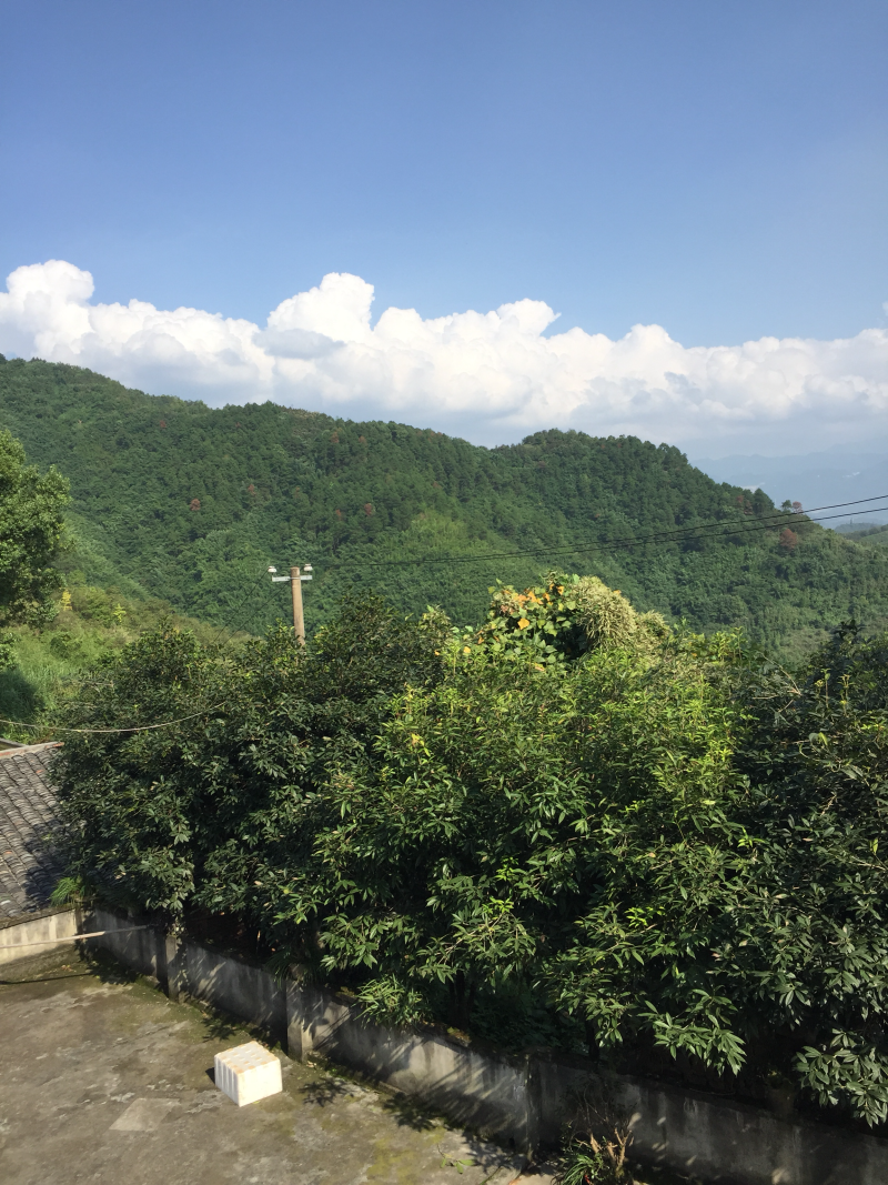 宅基地-农房出租