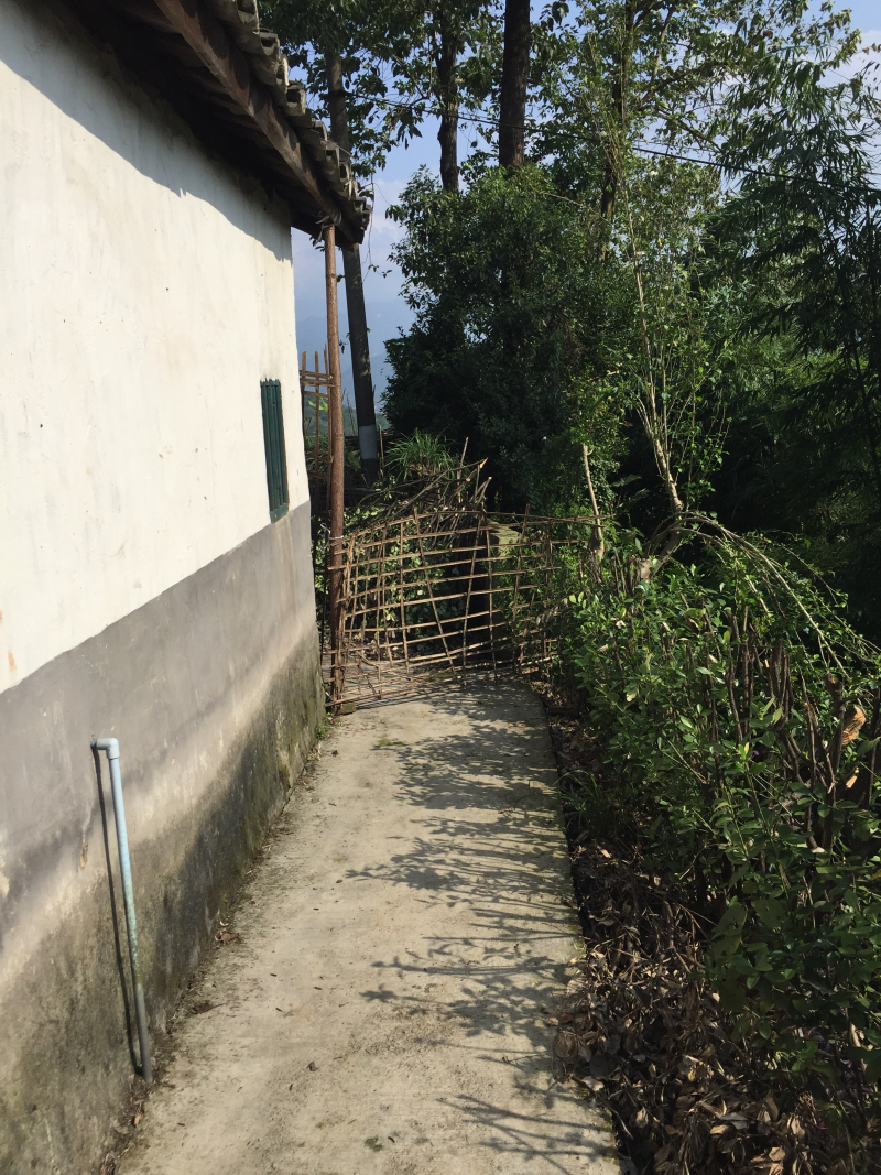 宅基地-农房出租
