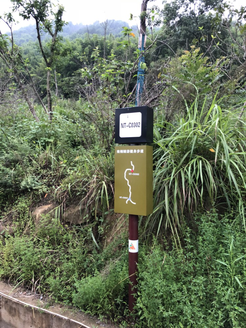 宅基地-农房出租