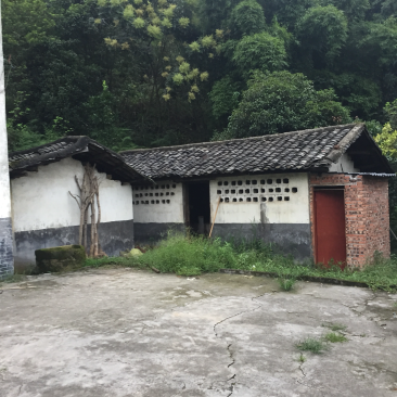 宅基地-农房出租