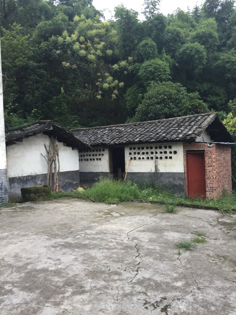 宅基地-农房出租