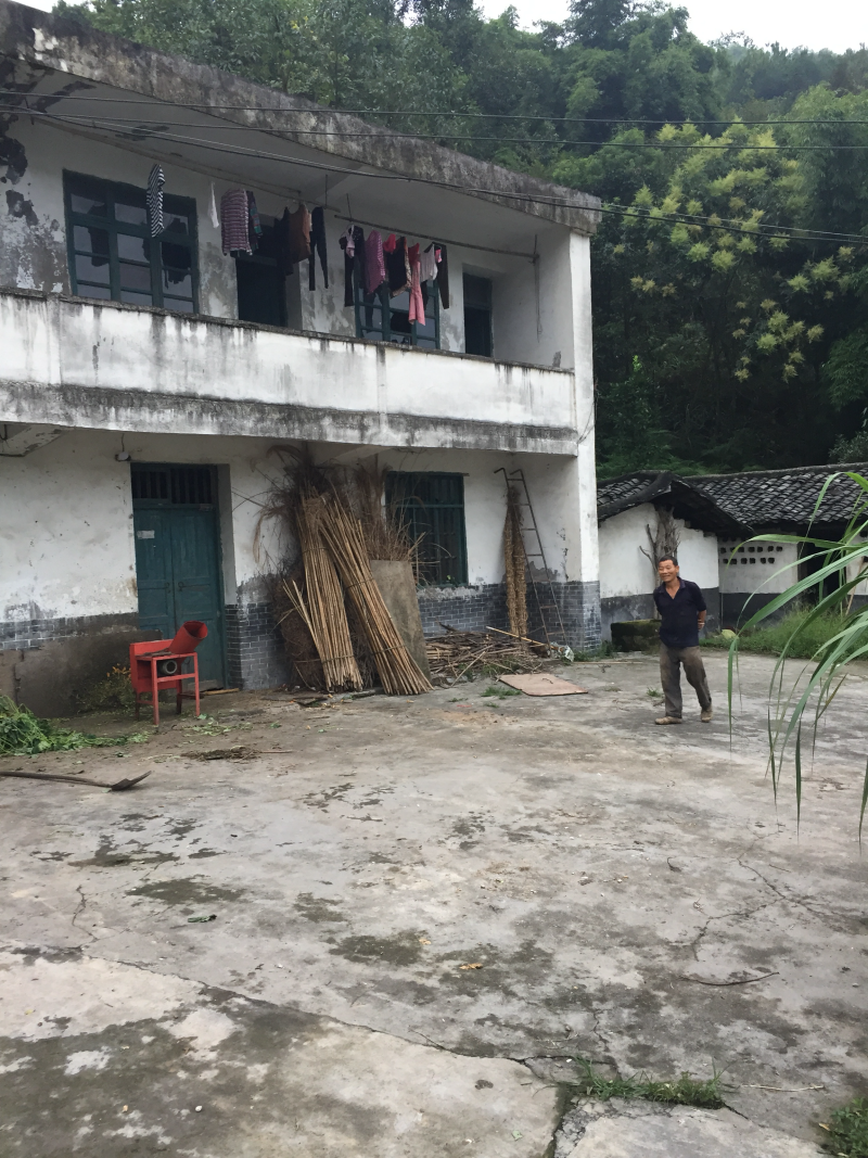 宅基地-农房出租