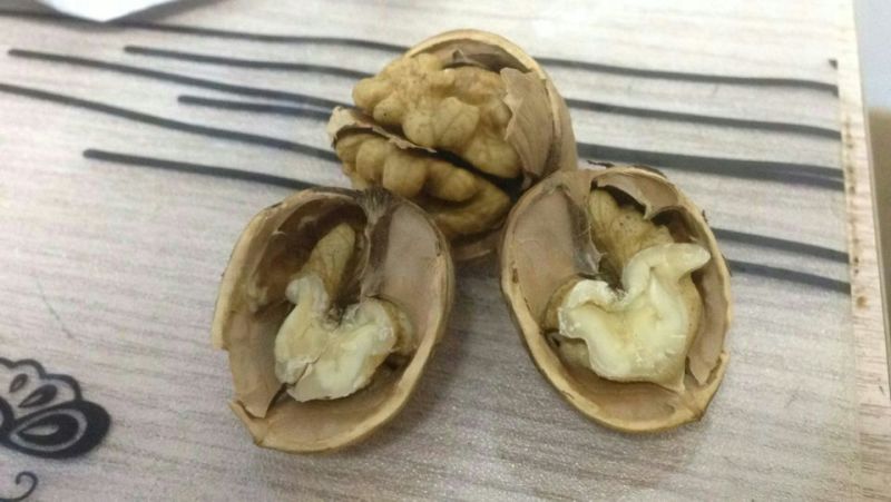 薄皮核桃30mm以上去皮