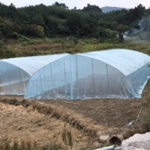 成套单体温室大棚家用连体蔬菜种植养殖大棚骨架