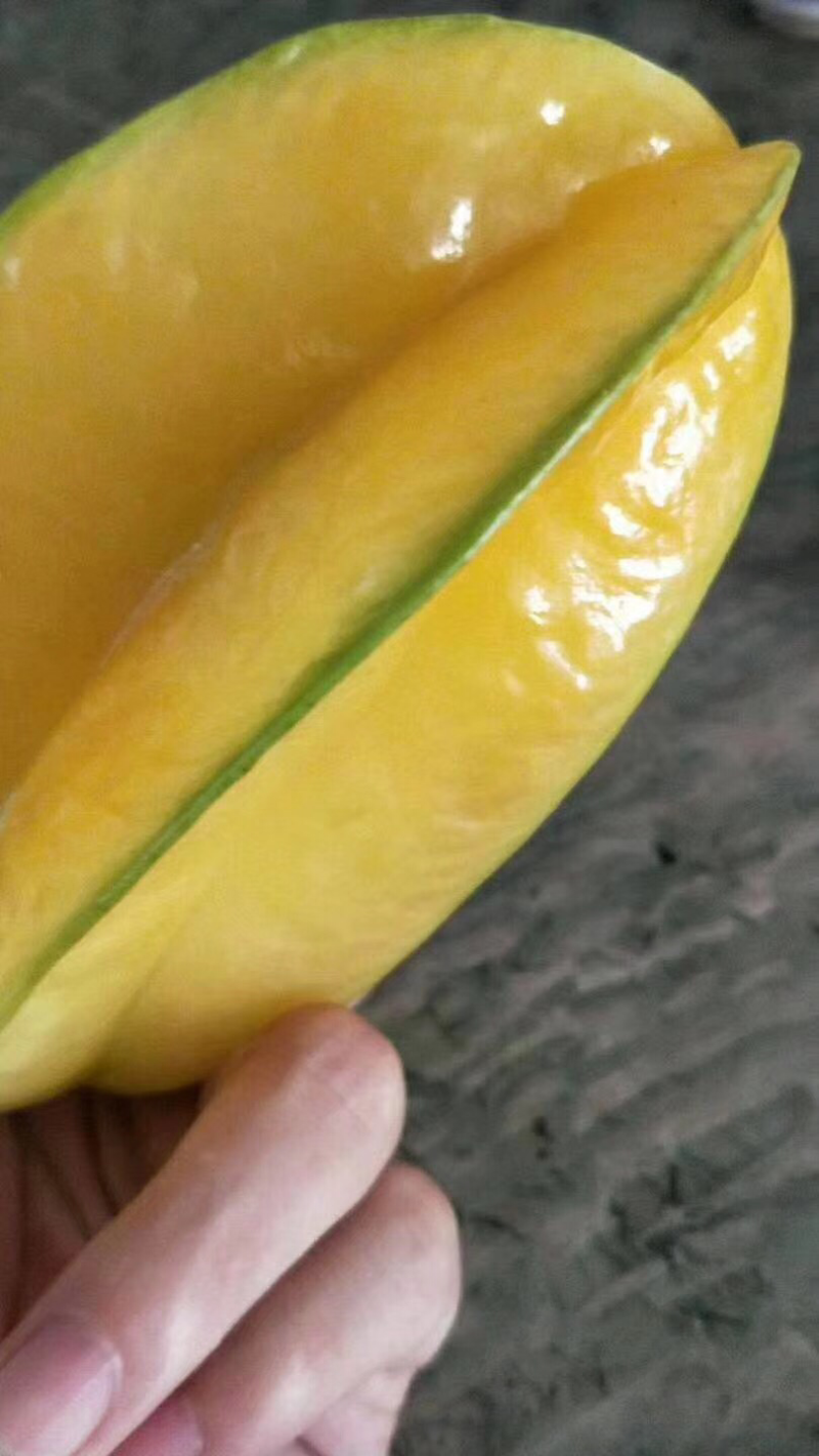 杨桃