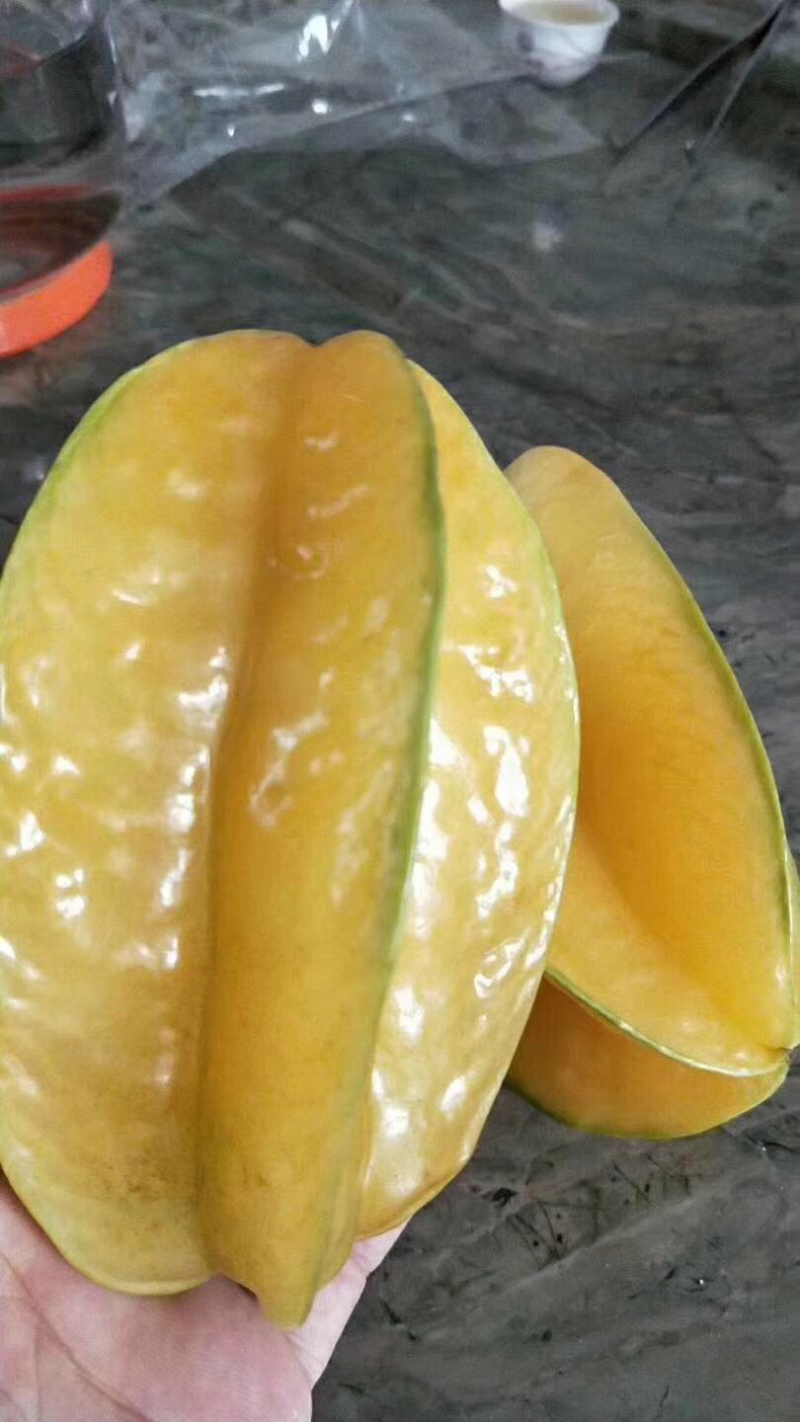 杨桃