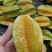 杨桃