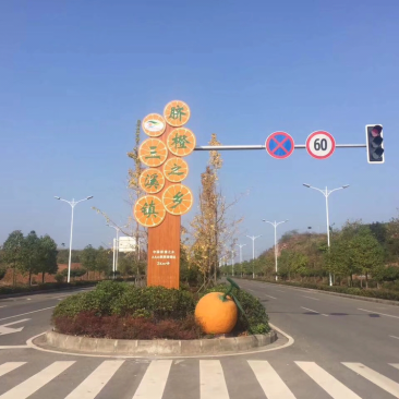 【基地直发】成都金堂三溪脐橙水分充足甜度高批发零售