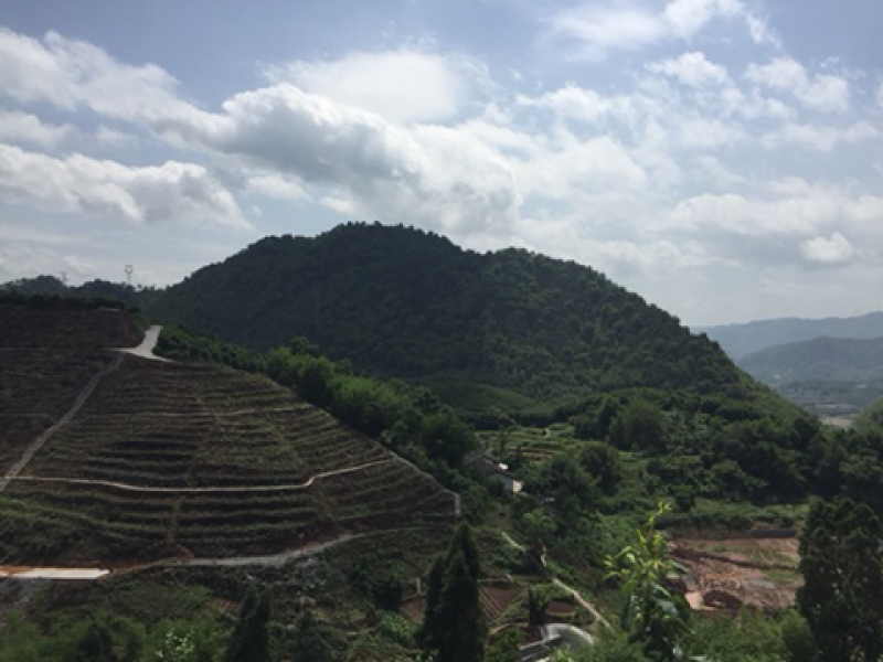 宅基地-农房出租