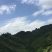 宅基地-农房出租