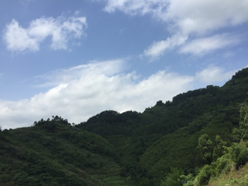 宅基地-农房出租