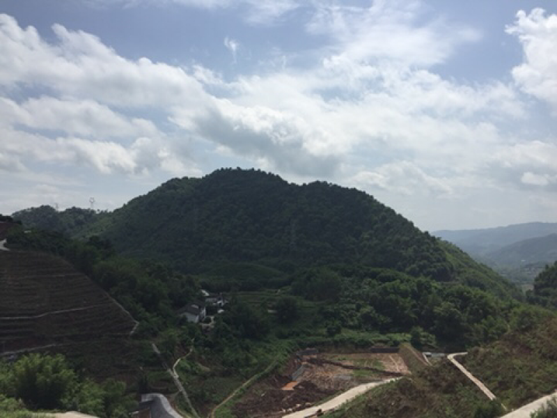 宅基地-农房出租