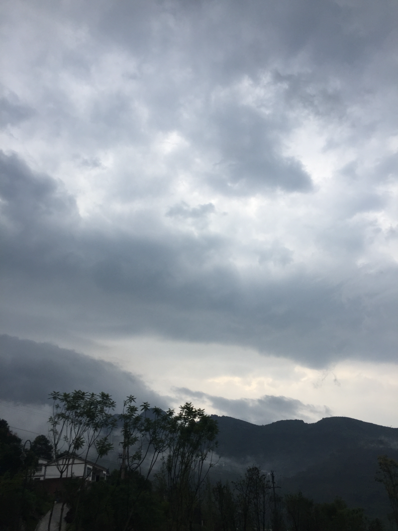 宅基地-农房出租