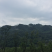 宅基地-农房出租