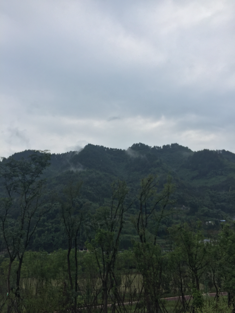 宅基地-农房出租