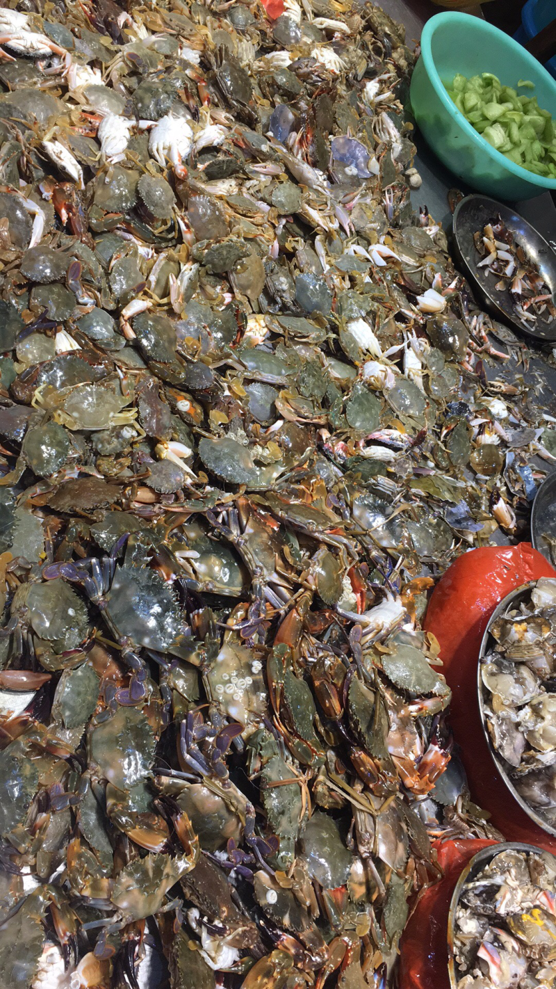 小石蟹，深海海蟹，深海硬壳蟹，批发