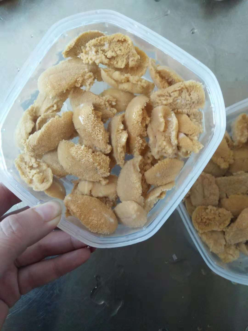 盒胆海胆肉
