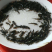 黄骨鱼苗