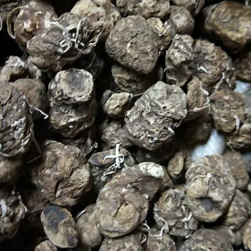 重楼七叶一枝花