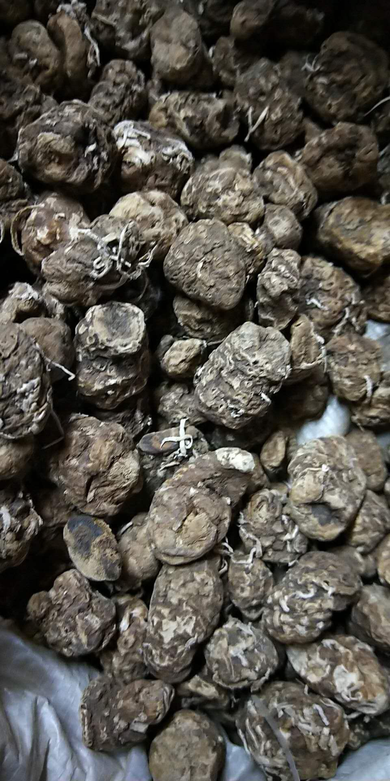 重楼七叶一枝花