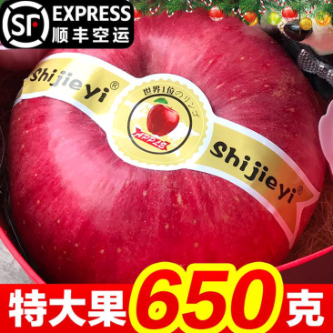 圣诞果(圣诞苹果)100mm以上9个装包邮