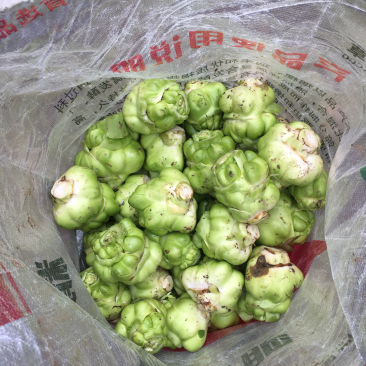 鲜榨菜