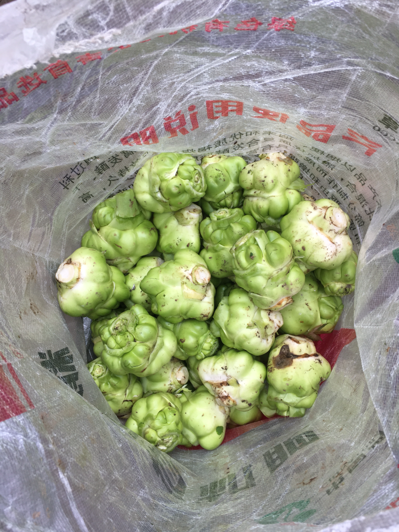 鲜榨菜