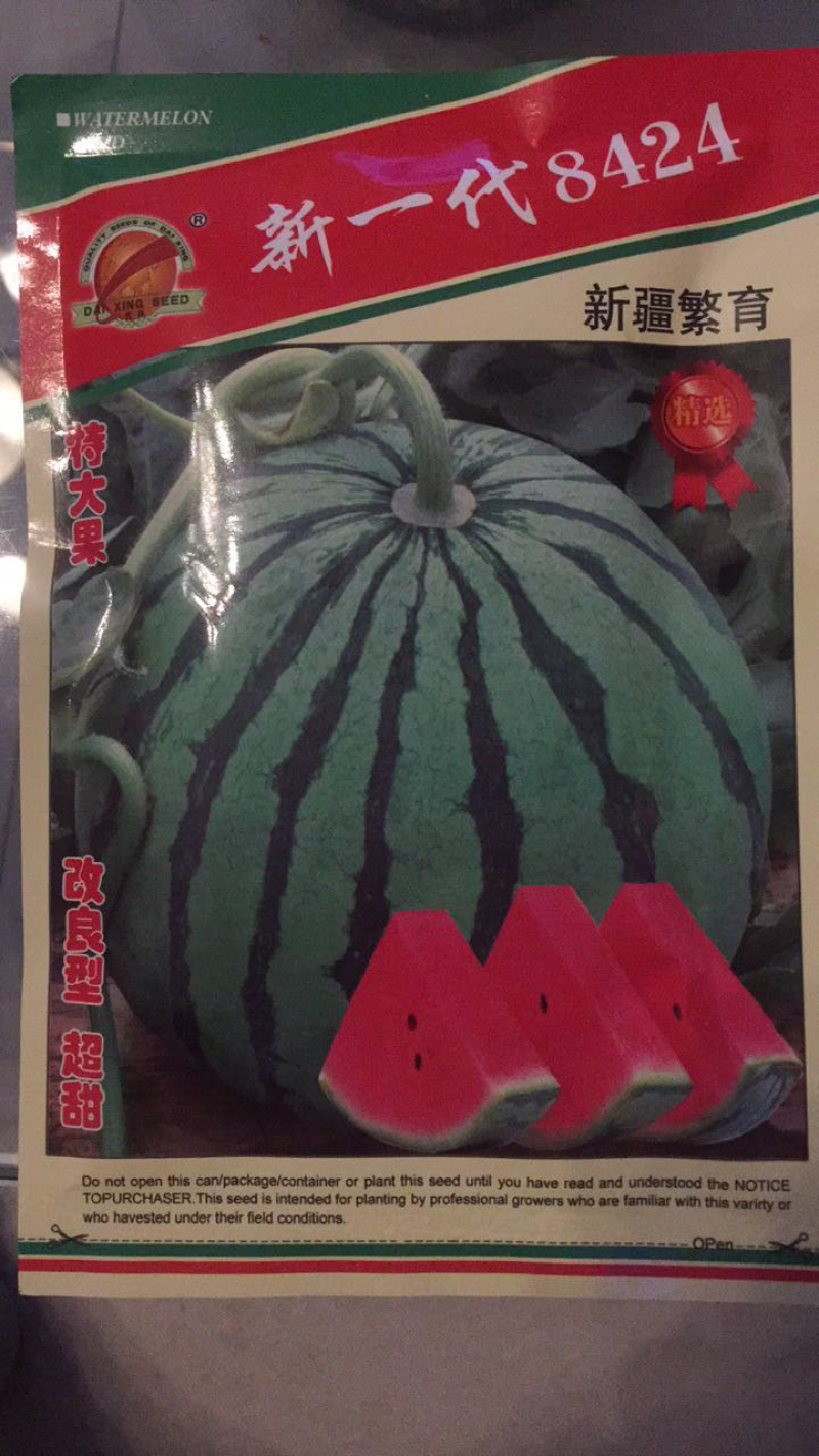 新一代8424西瓜种瓜菜种特大果型，产量高超甜