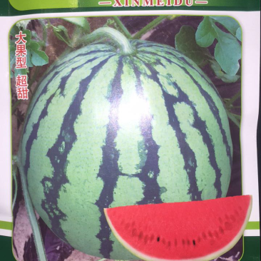 鑫美都种子，西瓜种子，8424种子，早佳西瓜种
