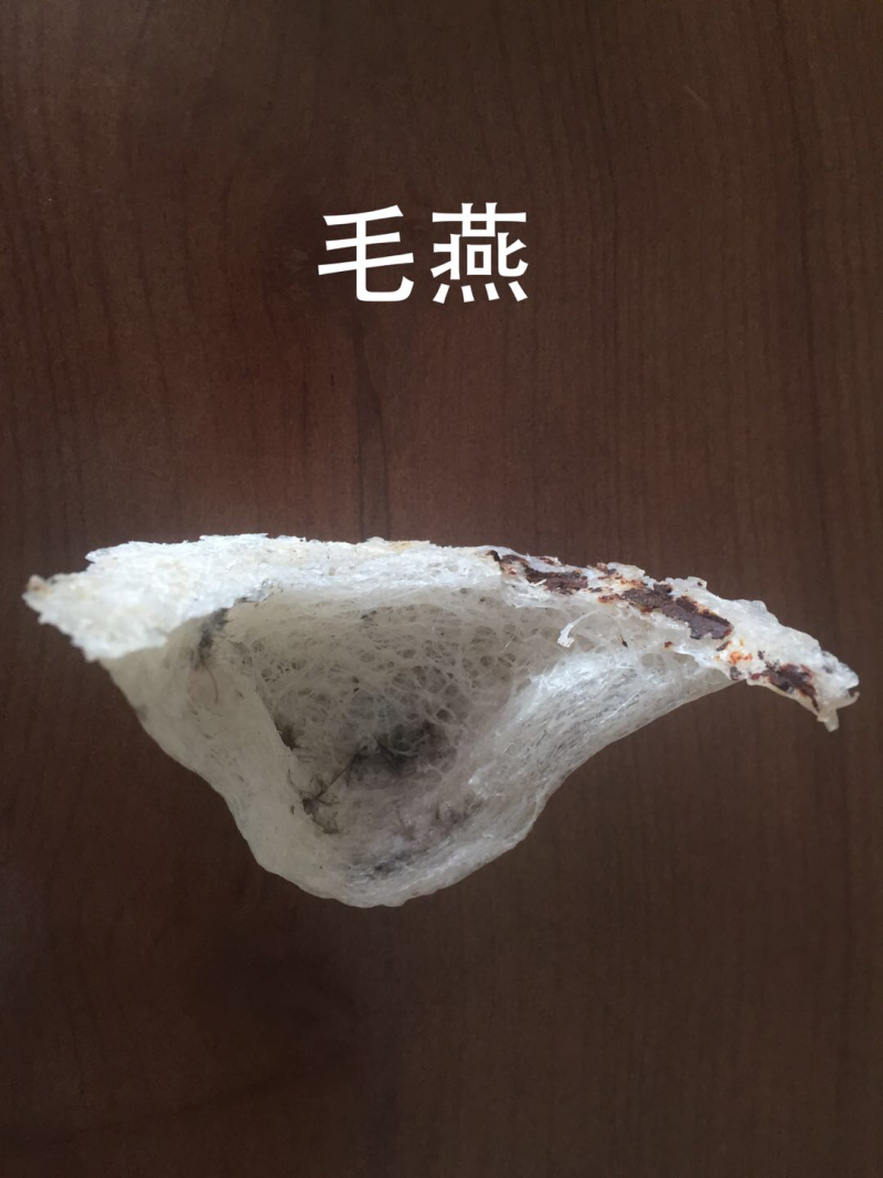 会安燕窝