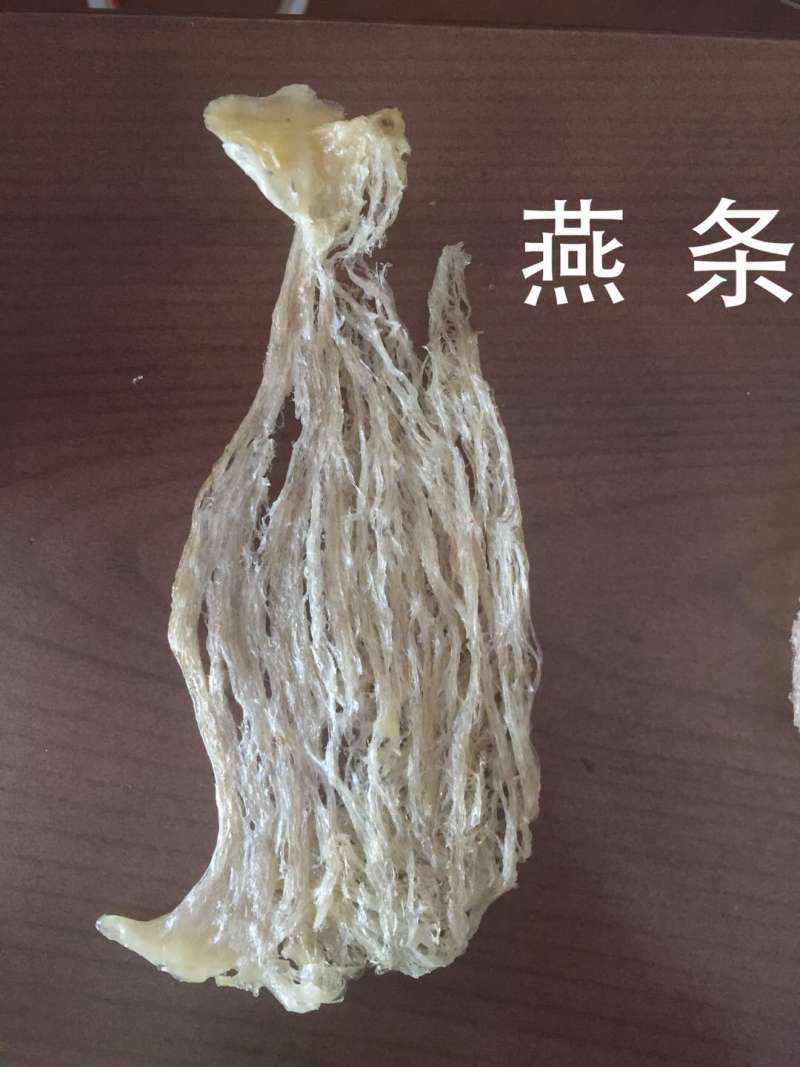 会安燕窝