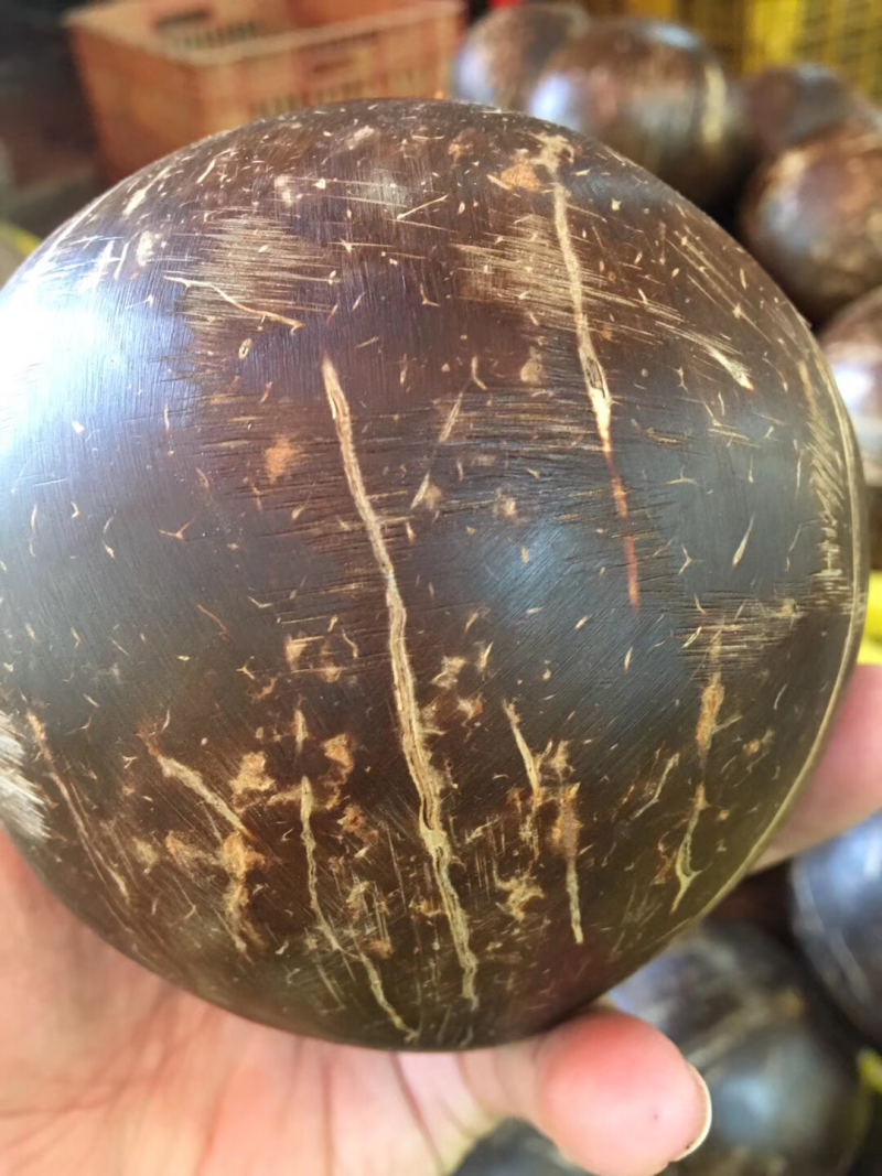 椰皇海南椰子老椰子去皮椰子椰王批发包邮