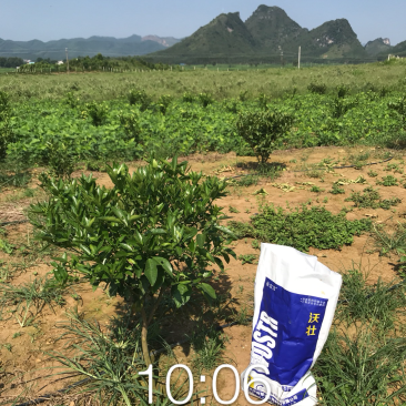 沃壮水溶肥