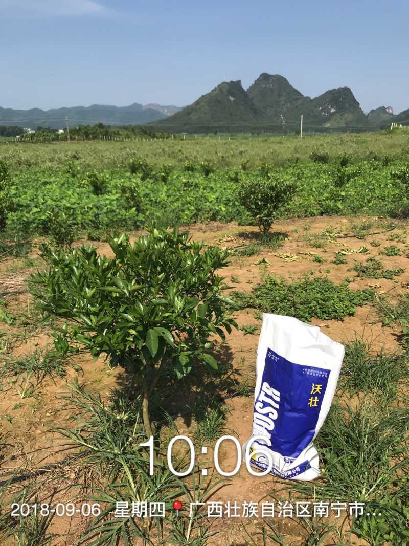 沃壮水溶肥