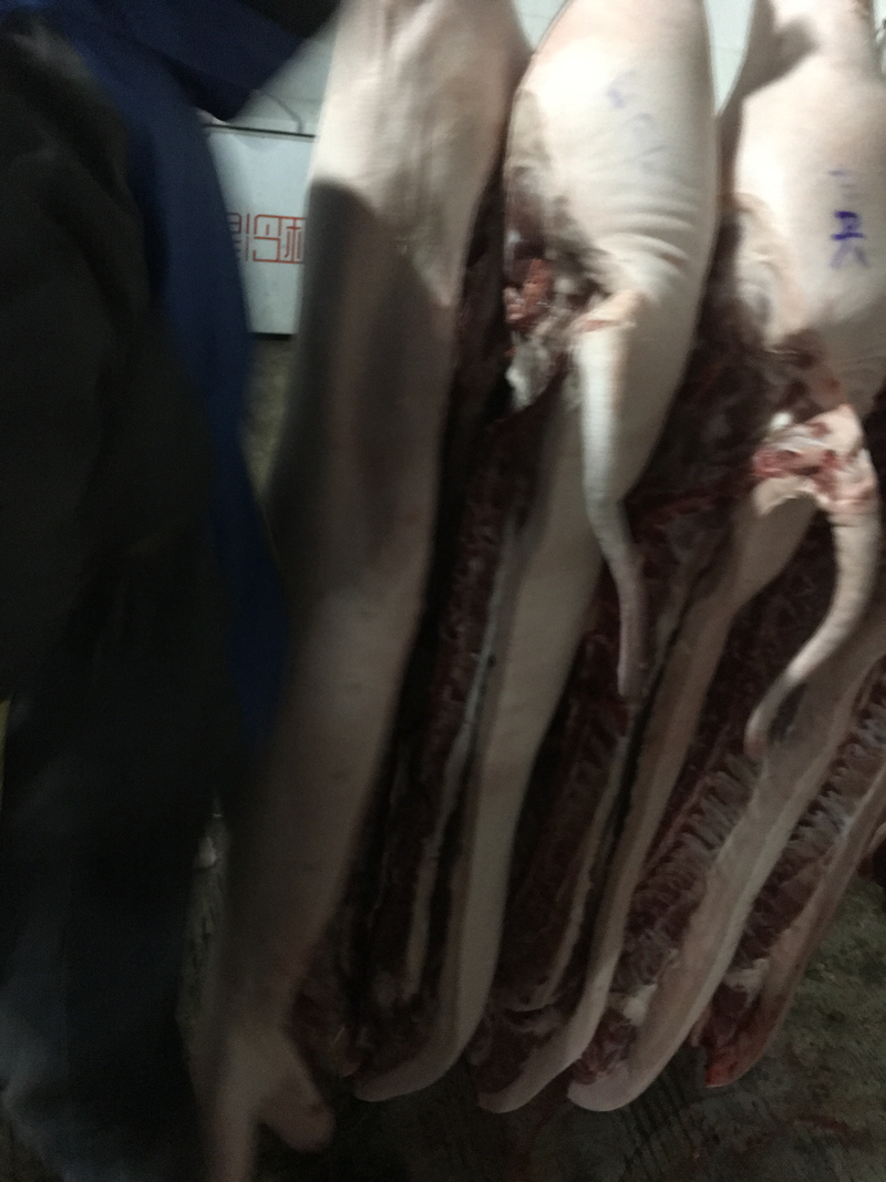 乐山市出售白条肉，出租屠宰场生产线