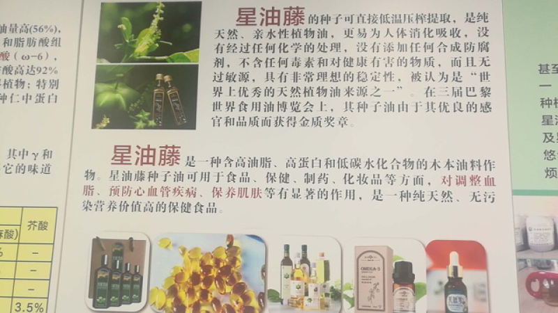 美藤果，印加果，星油藤，星果，OMG，