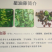 美藤果,印加果,星油藤,星果,OMG,