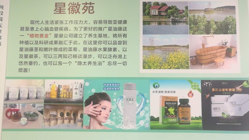 美藤果，印加果，星油藤，星果，OMG，