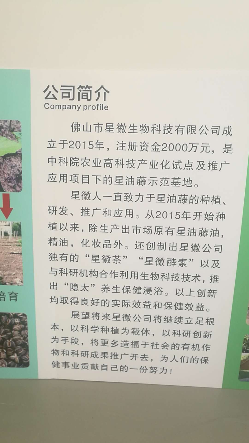 美藤果，印加果，星油藤，星果，OMG，