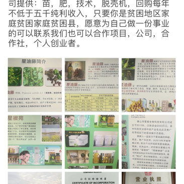 美藤果,印加果,星油藤,星果,OMG,